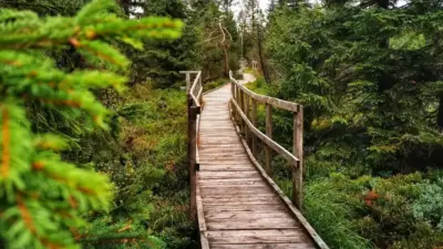 Stezka na Božídarské rašeliniště