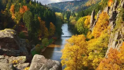 Svatosske skaly ptaci pohled