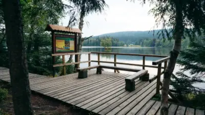 Kladske raseliny point