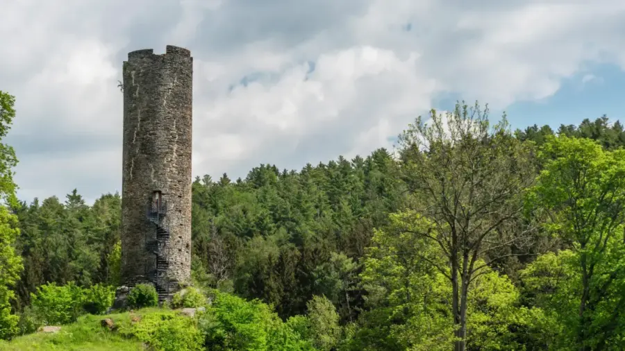 Neuberg pohled na vez